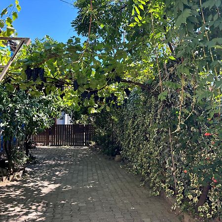 Downtown Guest House คูทายสิ ภายนอก รูปภาพ
