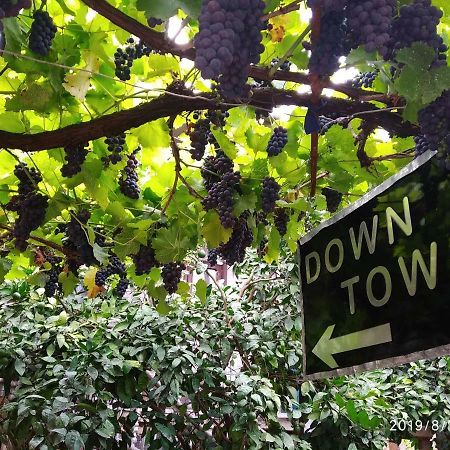 Downtown Guest House คูทายสิ ภายนอก รูปภาพ