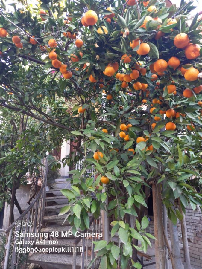 Downtown Guest House คูทายสิ ภายนอก รูปภาพ