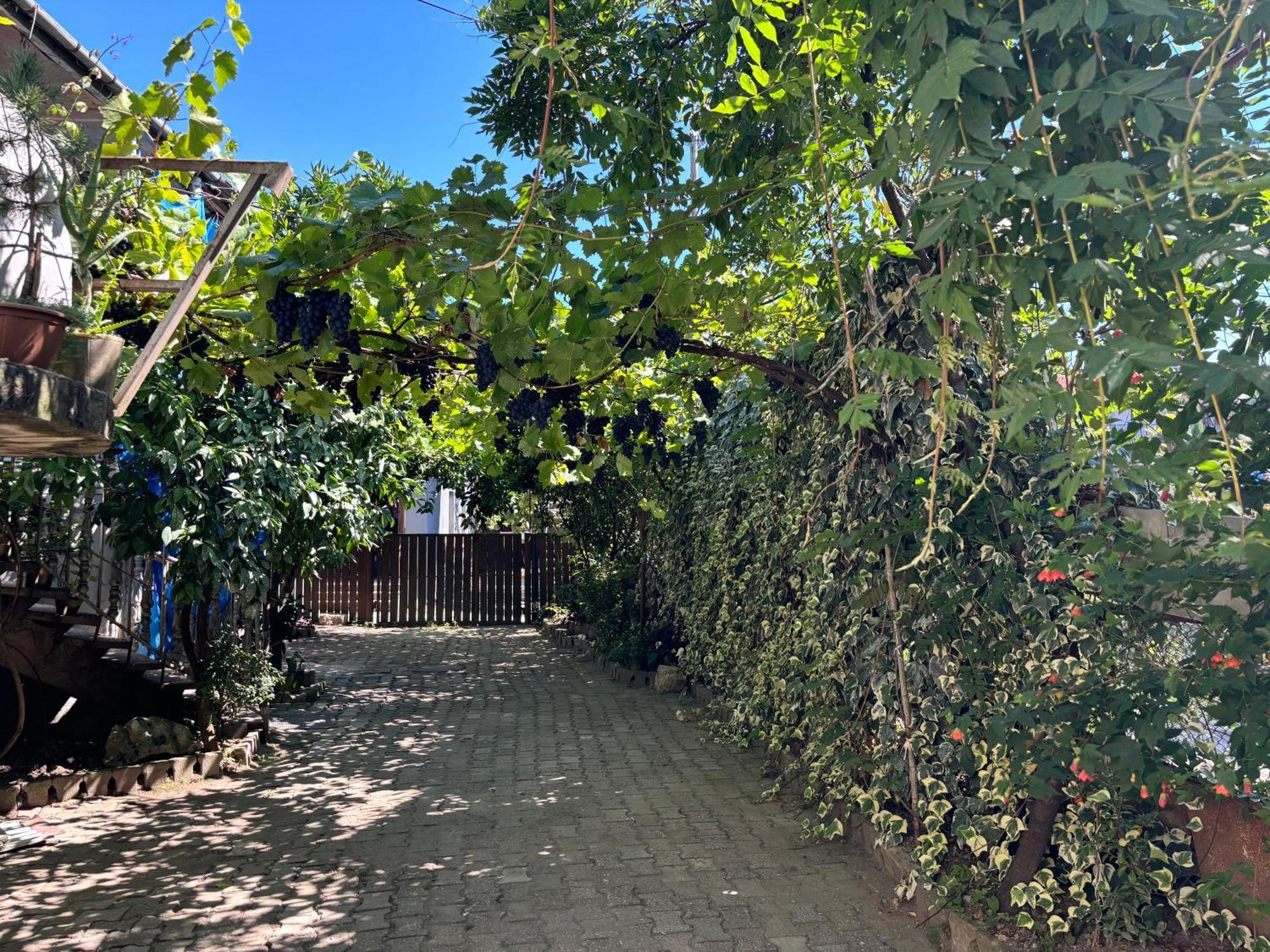 Downtown Guest House คูทายสิ ภายนอก รูปภาพ